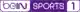 beIN SPORTS 1