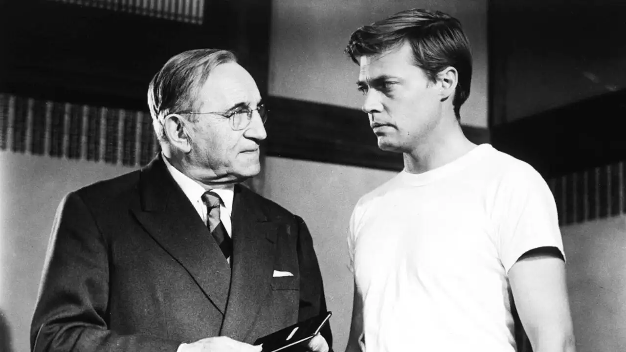 Rififi à Tokyo – image d’arrière-plan