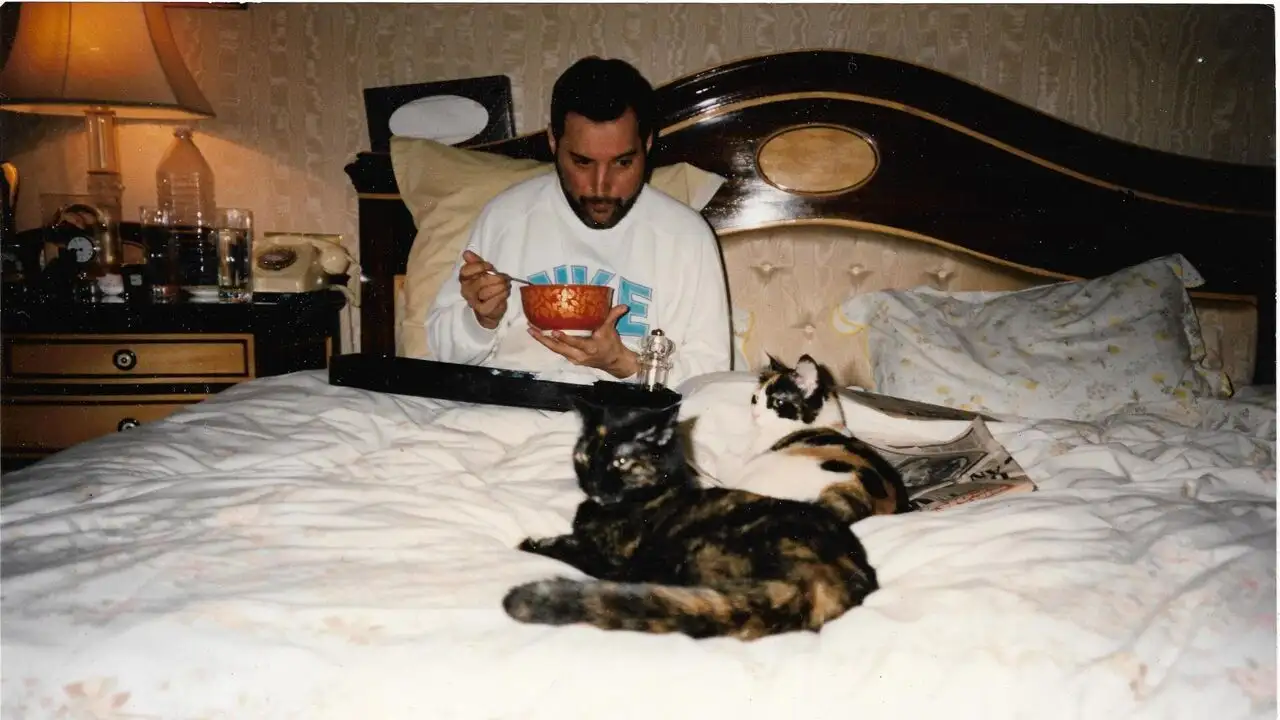Freddie Mercury, une vie en 10 photos – image d’arrière-plan