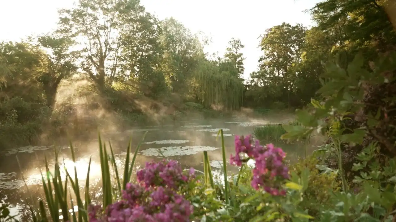 Les trésors des jardins français - Les jardins du XXe siècle – image d’arrière-plan