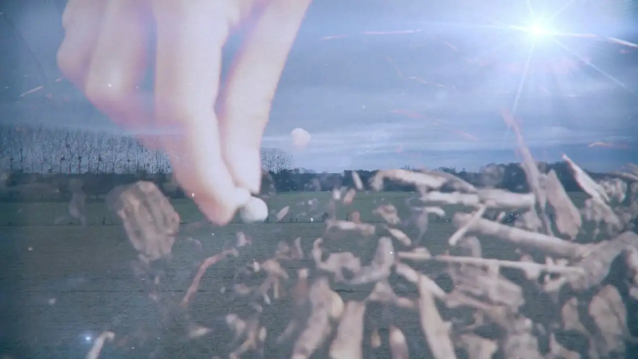 Nos mains dans la terre, l'aventure des enfants et des arbres - Saison 1 - Ensemble, changeons de cap – image d’arrière-plan