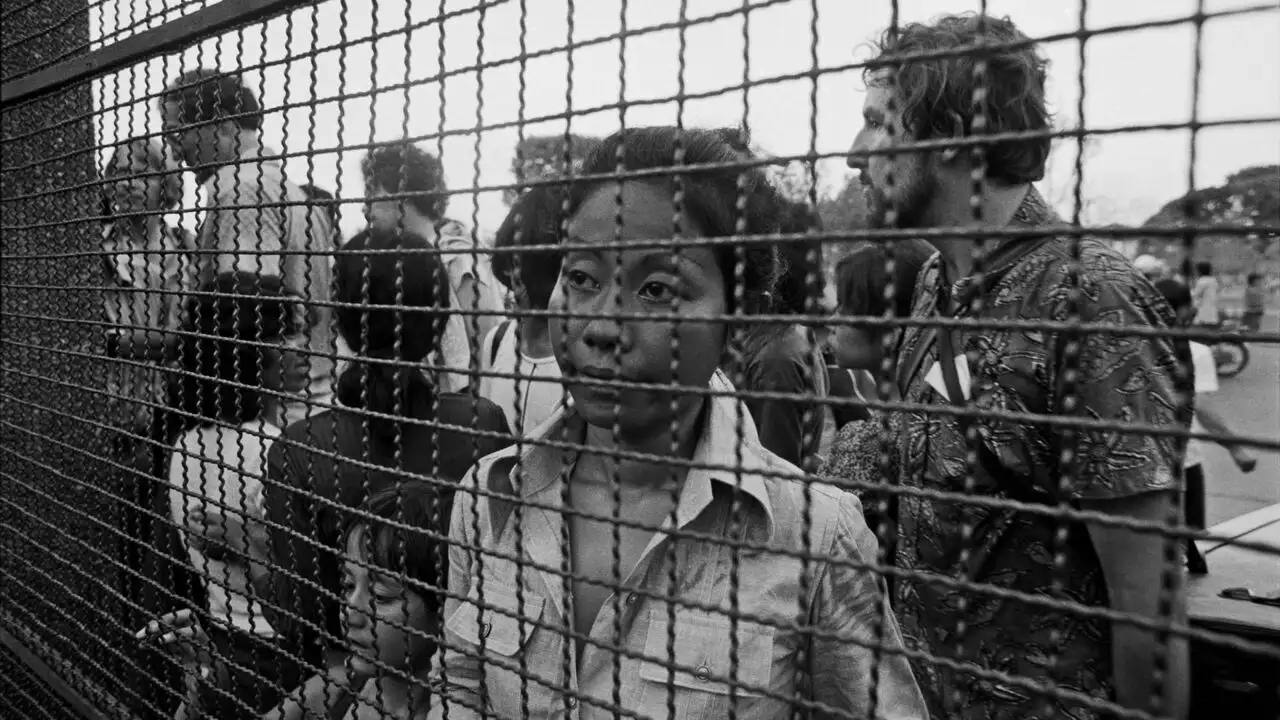 Sous la menace des Khmers rouges, la chute de l'ambassade de France – image d’arrière-plan