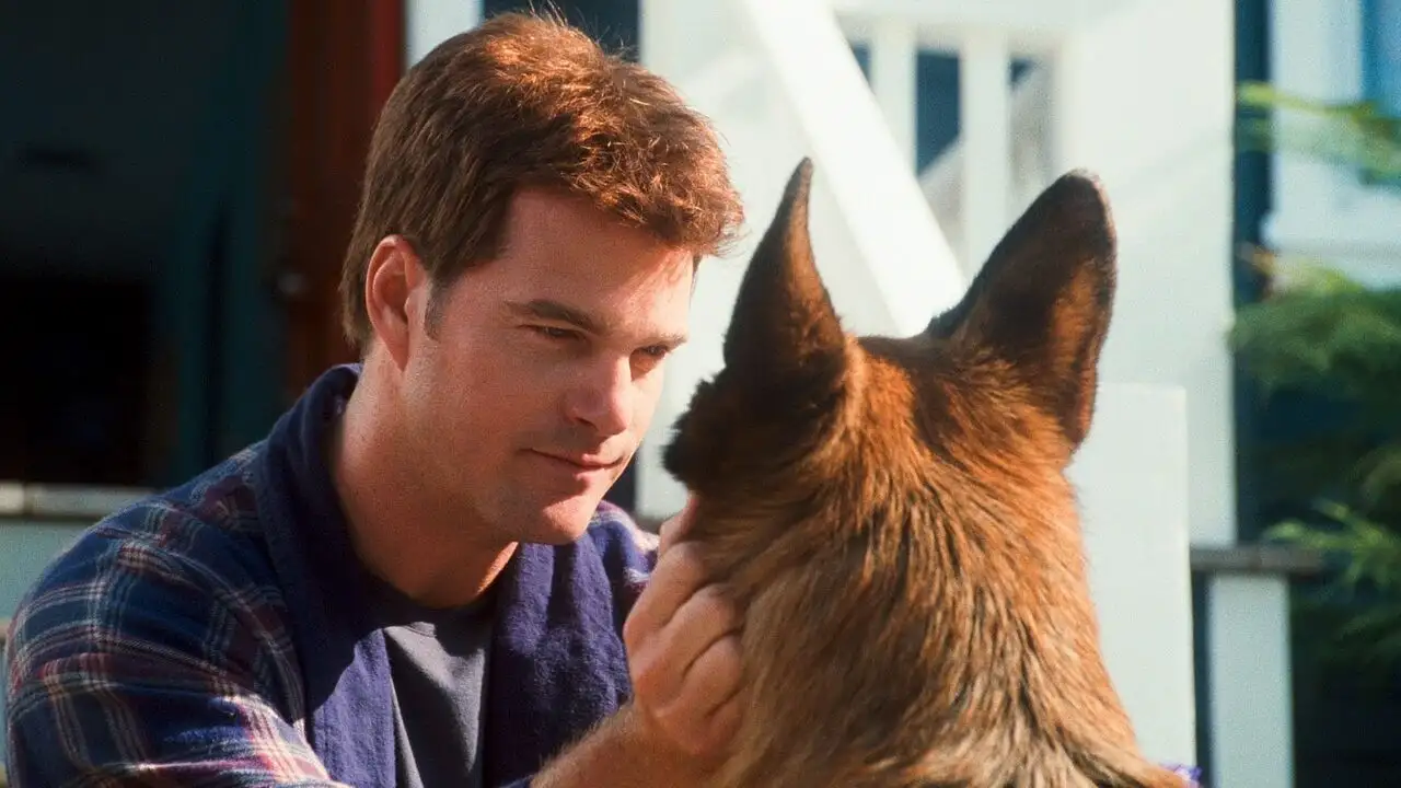 Comme chiens et chats : la revanche de Kitty Galore – image d’arrière-plan