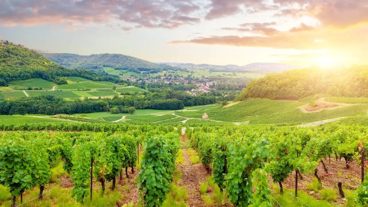 La Bourgogne à la conquête du monde – image d’arrière-plan