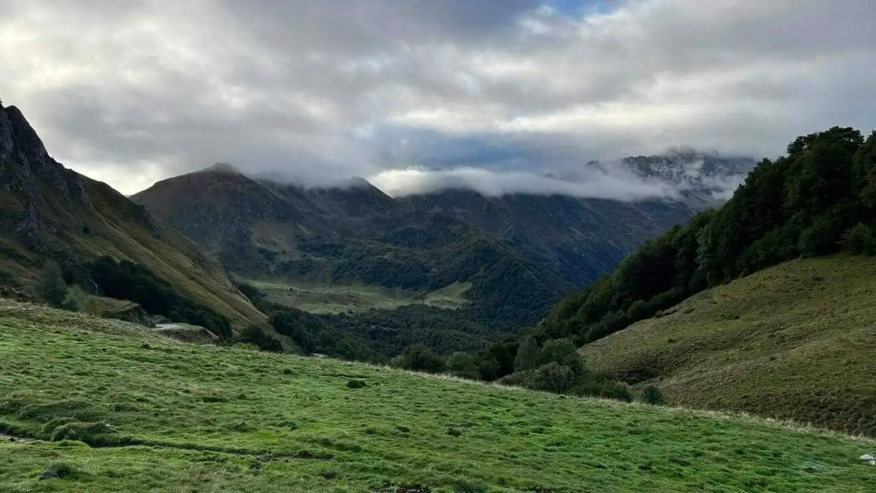Chronique d'en haut - Véronique Jannot, la nature comme refuge – image d’arrière-plan