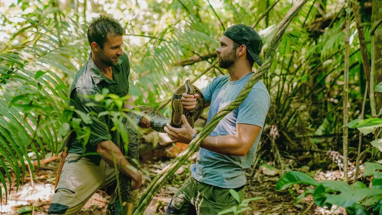 Morsures et piqûres : le grand test - Saison 1 - Fire Down Below – image d’arrière-plan