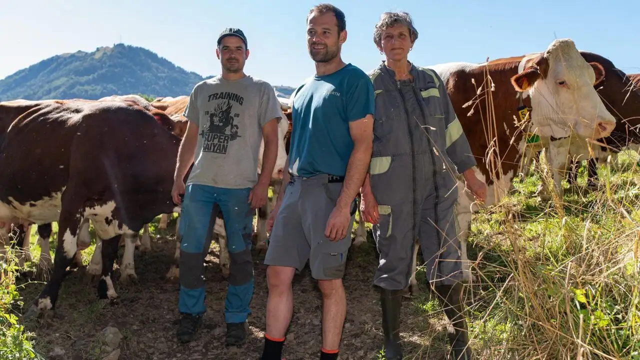 La Ferme des Bertrand – image d’arrière-plan