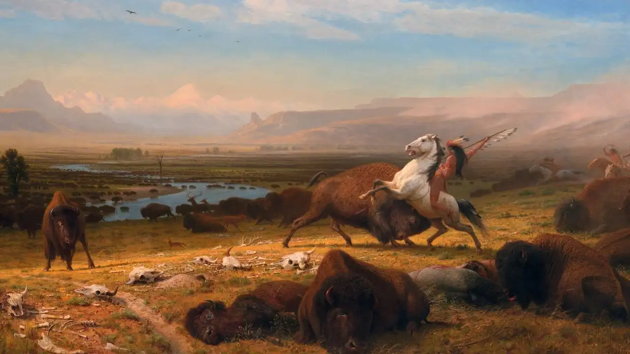 Bison : une histoire de l'Amérique - Mémoire de sang – image d’arrière-plan