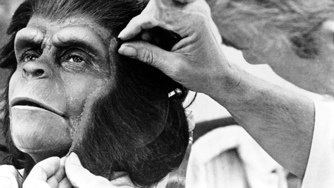 "La planète des singes", une odyssée de l'espèce – image d’arrière-plan