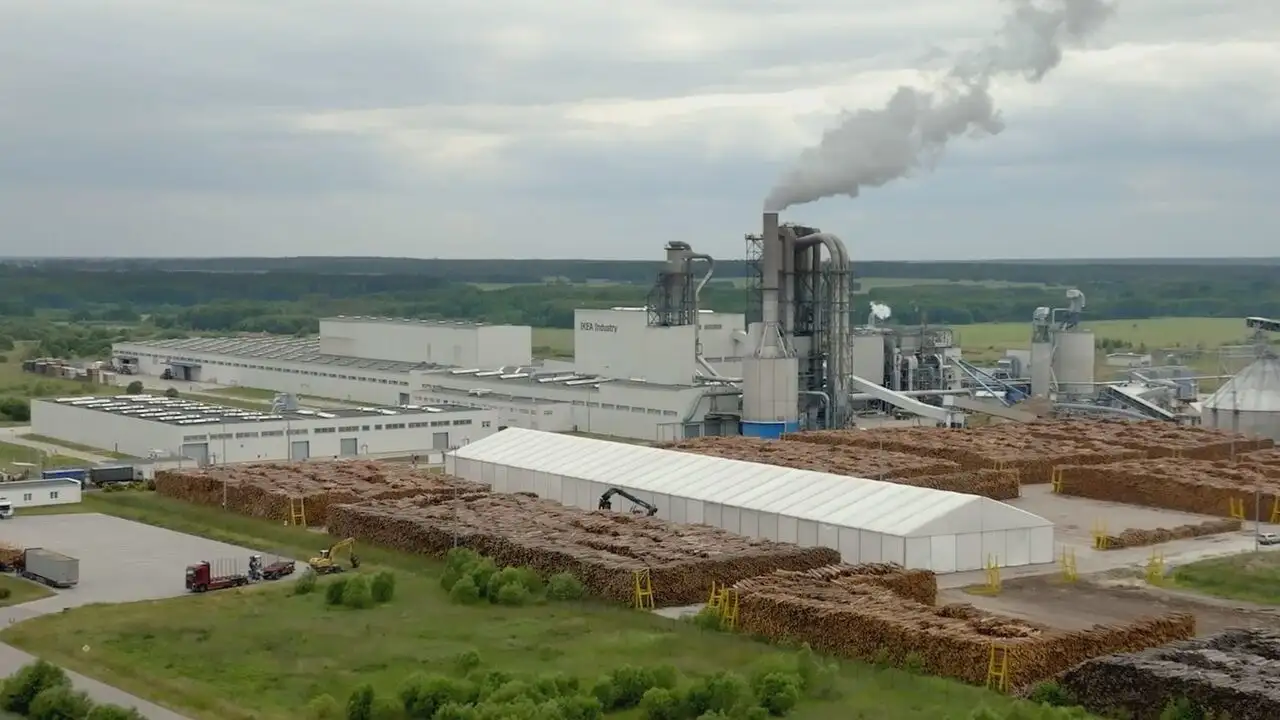 Ikea, le seigneur des forêts – image d’arrière-plan
