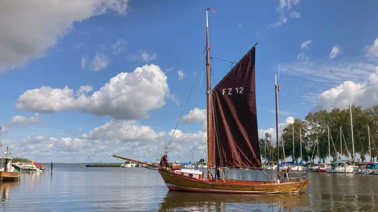 L'estuaire du fleuve Oder : Une lagune à l'écosystème foisonnant – image d’arrière-plan