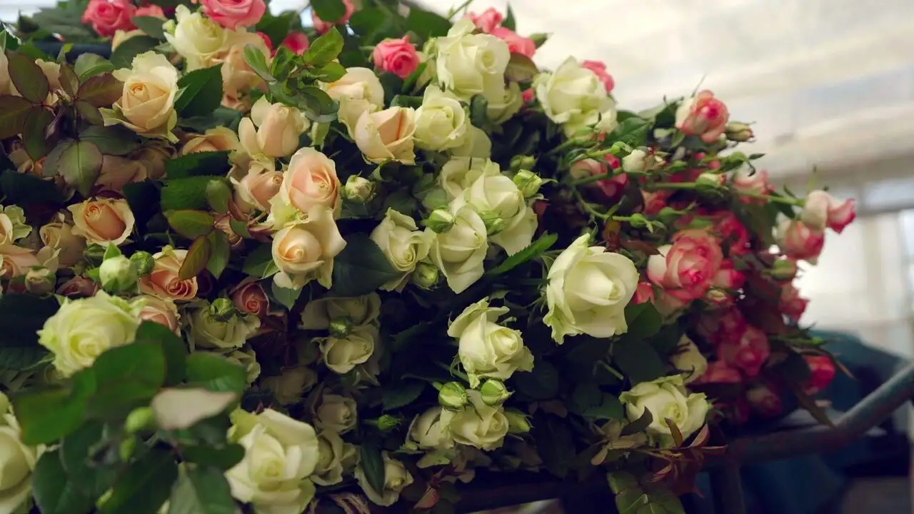 On se pique pour la fleur française – image d’arrière-plan
