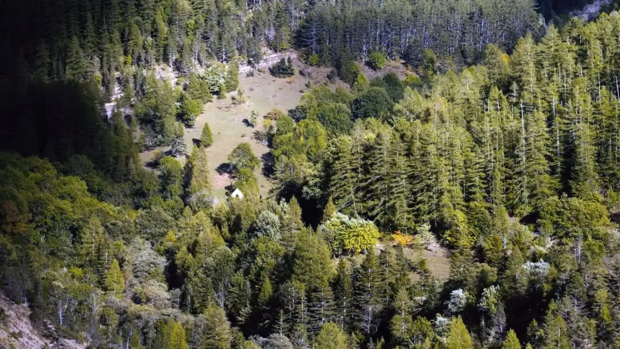 Chaudun : Les déshérités de la nature – image d’arrière-plan