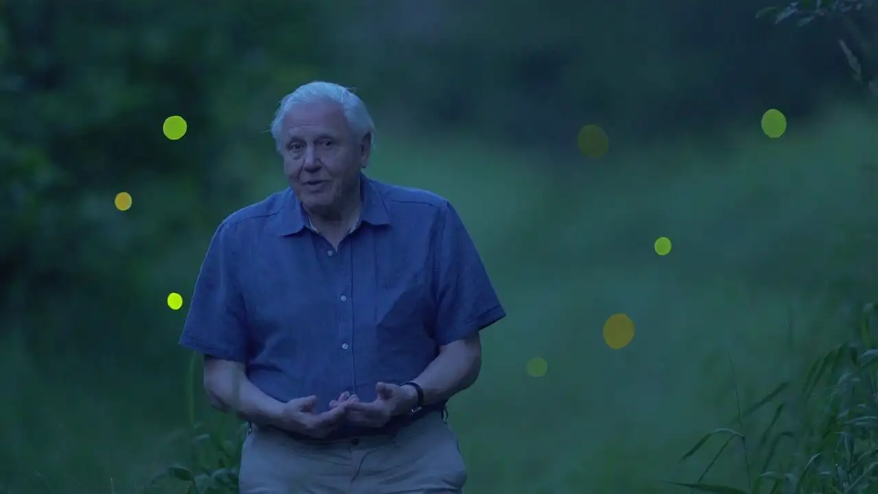 Brillantes espèces – image d’arrière-plan