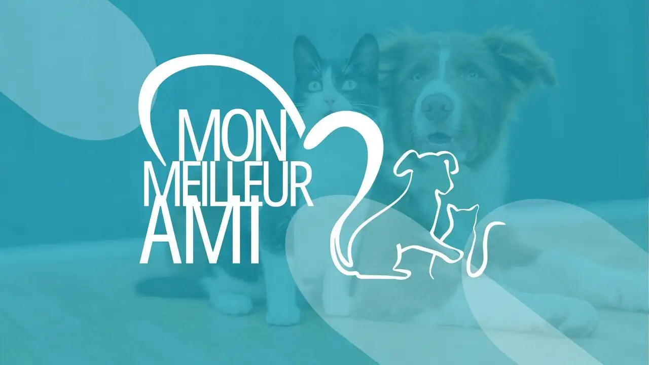 Mon meilleur ami – image d’arrière-plan
