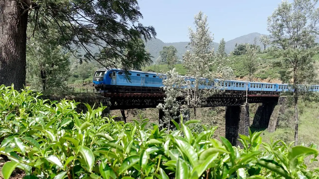 Sri Lanka, avec Rodrigo à bord du train bleu - Episode 470 – image d’arrière-plan