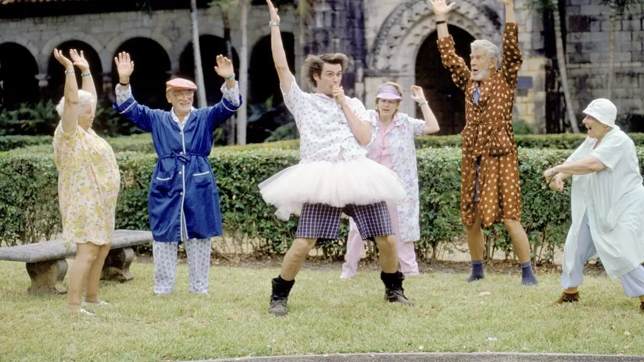 Ace Ventura, détective pour chiens et chats – image d’arrière-plan