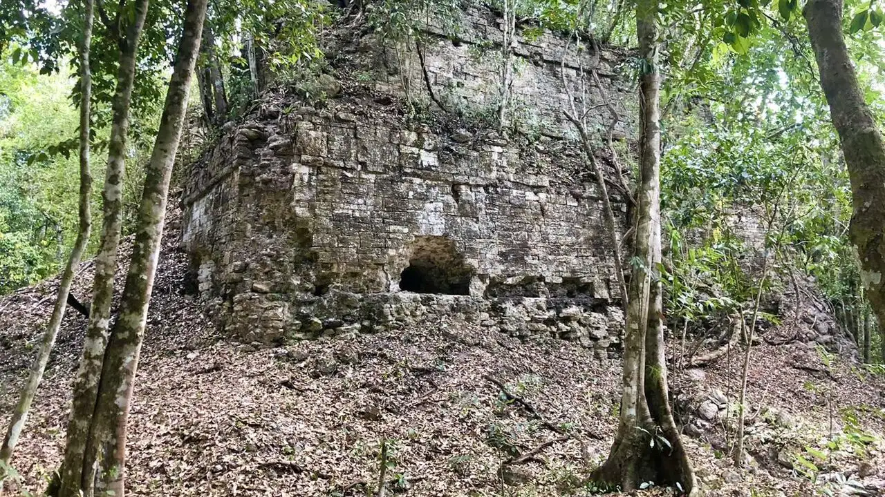 Naachtun, le royaume maya révélé – image d’arrière-plan