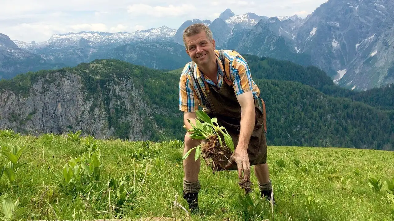Le génie des plantes - Super stratégies – image d’arrière-plan