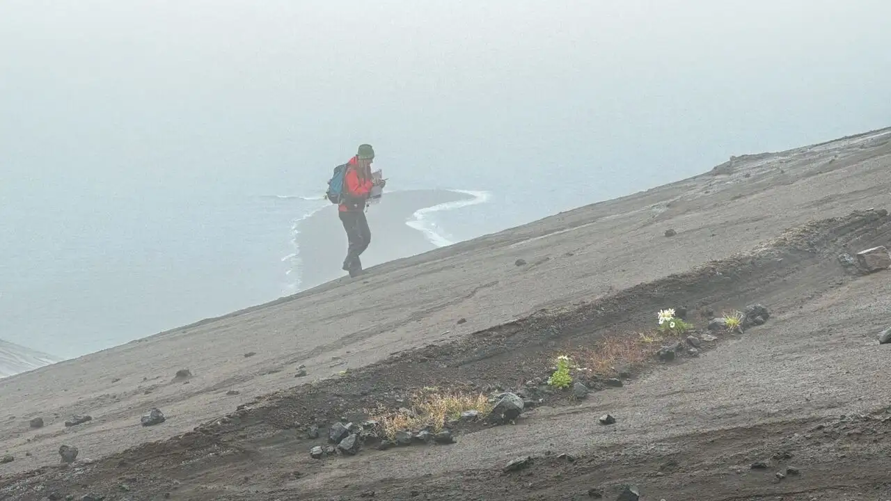Du fond de l'océan une île nouvelle : Histoires de Surtsey – image d’arrière-plan