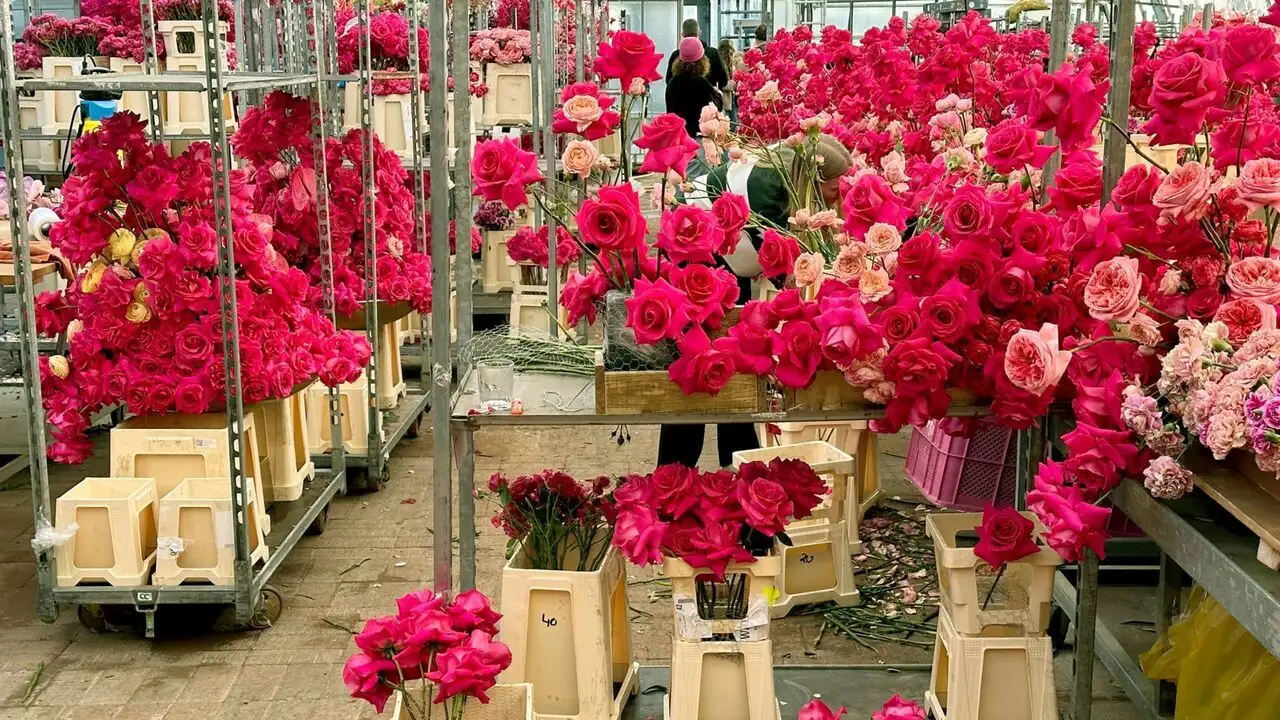 L'ivresse des fleurs - Luxe et exotisme – image d’arrière-plan