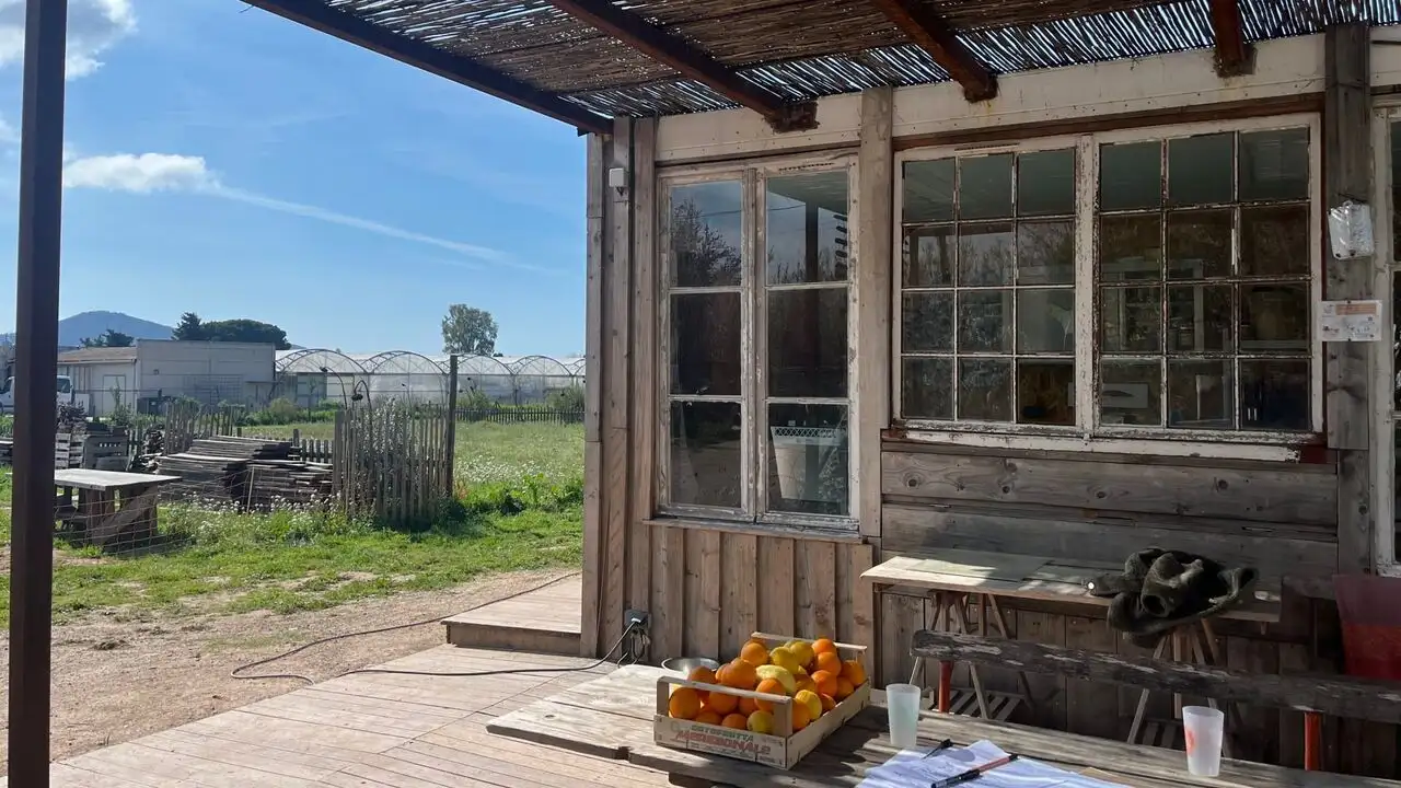 Les fées anti-gaspi, en Provence verte – image d’arrière-plan