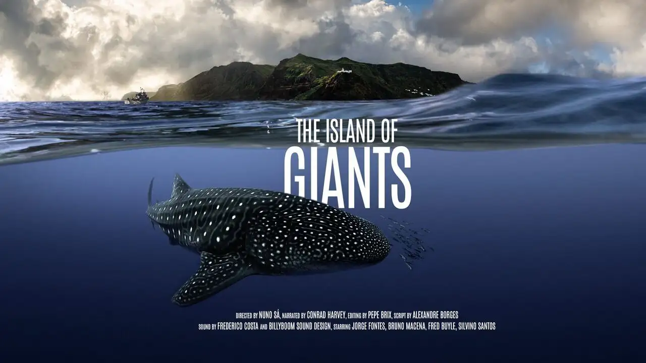 Les géants marins des Açores – image d’arrière-plan