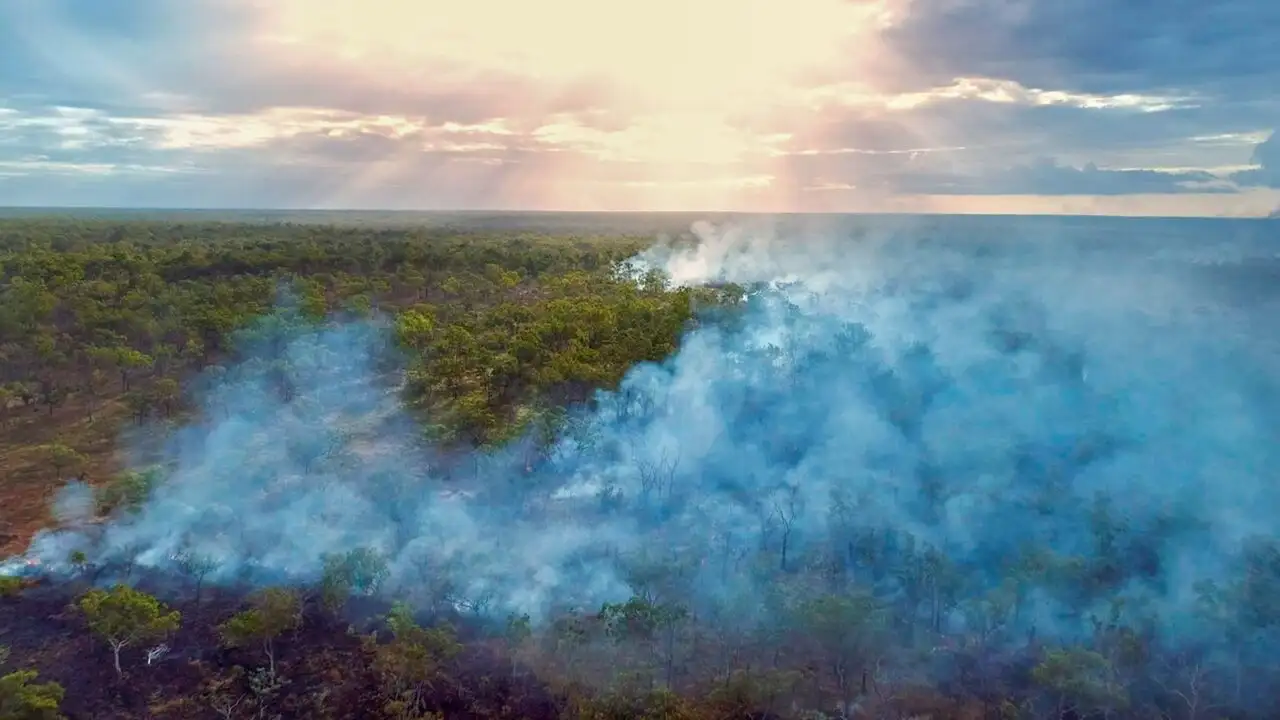 L'ouest sauvage de l'Australie : Parmi les crocodiles du parc Mitchell River – image d’arrière-plan