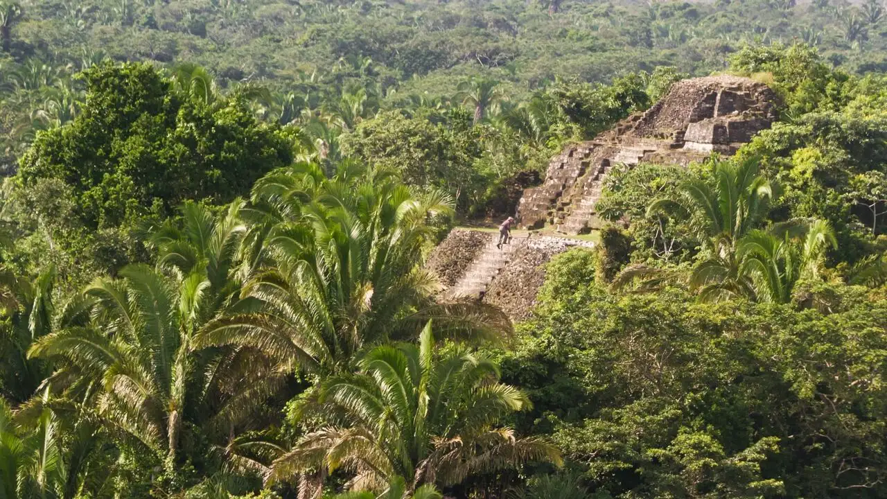 La jungle, mon père et Ed Stafford - Saison 1 – image d’arrière-plan