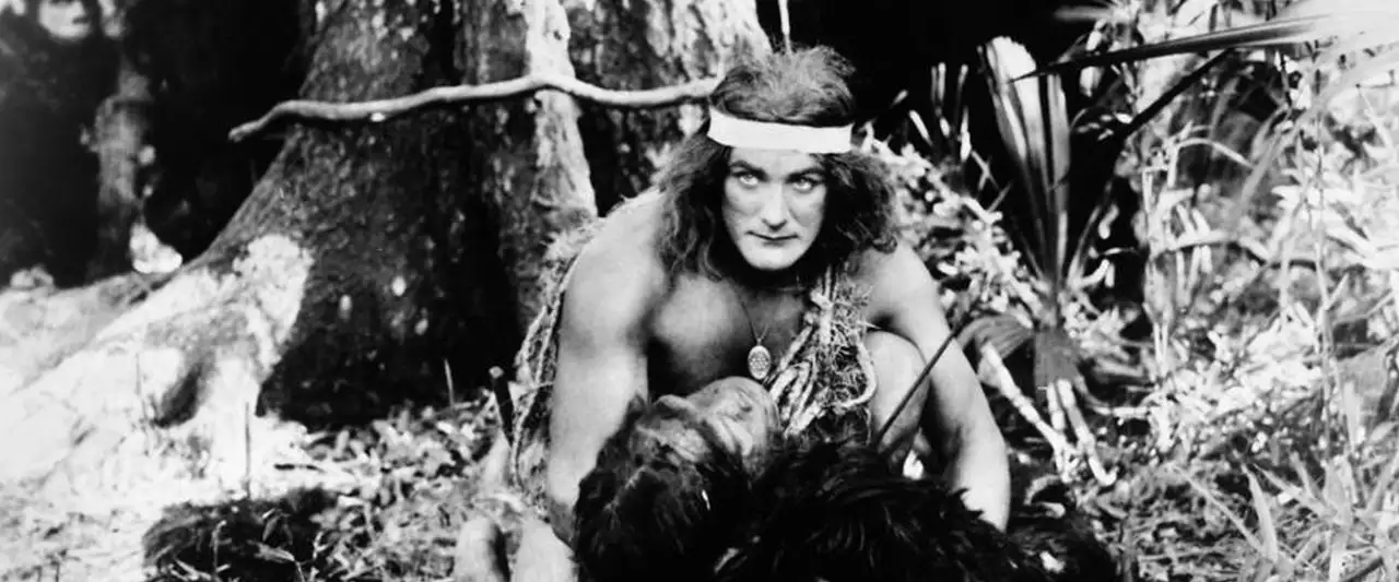 Tarzan chez les singes – image d’arrière-plan