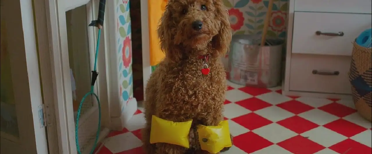 Waffle, le chien waouh - Saison 1 - Waffle et la peinture verte – image d’arrière-plan