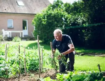 L'amour est dans le pré - Saison 20 - Les portraits – affiche
