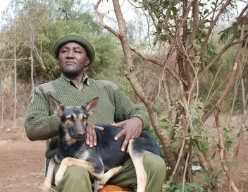 Kenya, les chiens au secours des éléphants - Episode 430 – affiche