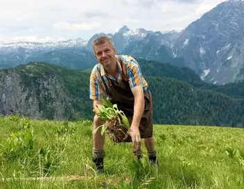 Le génie des plantes – affiche
