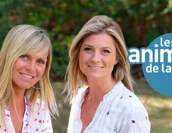 Les animaux de la 8 - Des Parisiens de tout poil – affiche