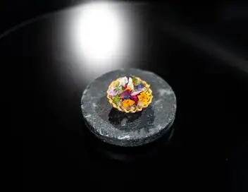 Top chef - Saison 15 – affiche