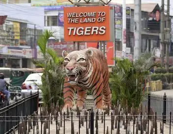 Sundarbans, le dernier royaume du tigre – affiche