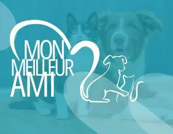 Mon meilleur ami – affiche