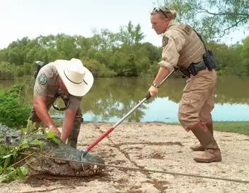 La loi du Texas - Saison 7 - Sang, empreintes et mensonges – affiche