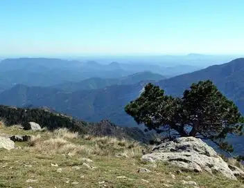 Le Massif central, poumon vert de la France - Causses, monts et vallées – affiche