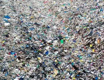 Coca-Cola, leader pollueur – affiche