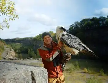 Les derniers mondes sauvages - Saison 6 - Paradis des oiseaux – affiche