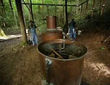 Alcool de contrebande - Saison 9 - Arrêté par la loi – affiche