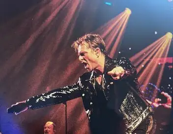 David Hallyday, requiem pour un fou – affiche