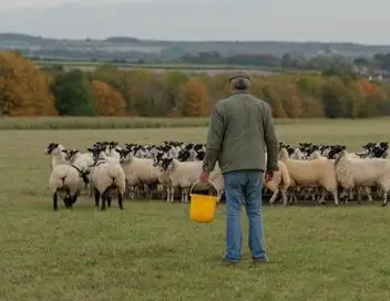 Clarkson à la ferme - Saison 1 - Les moutons – affiche