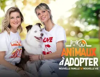 Animaux à adopter : nouvelle famille pour une nouvelle vie - Sam et Joe Dassin – affiche