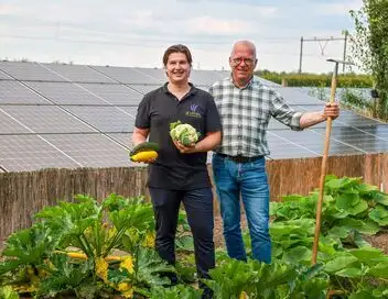Bonnes nouvelles de la planète - Multiplier les énergies durables – affiche
