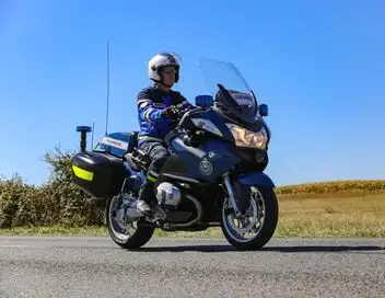 Enquête d'action - Gendarmes de campagne : affaires sensibles au pied des Vosges – affiche