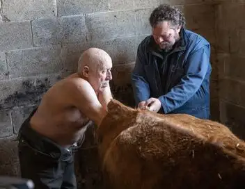 L'incroyable Dr Pol - Saison 13 - Vêlage en urgence – affiche