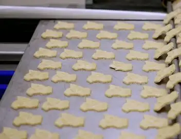Reportages découverte - Tous friands de biscuits – affiche